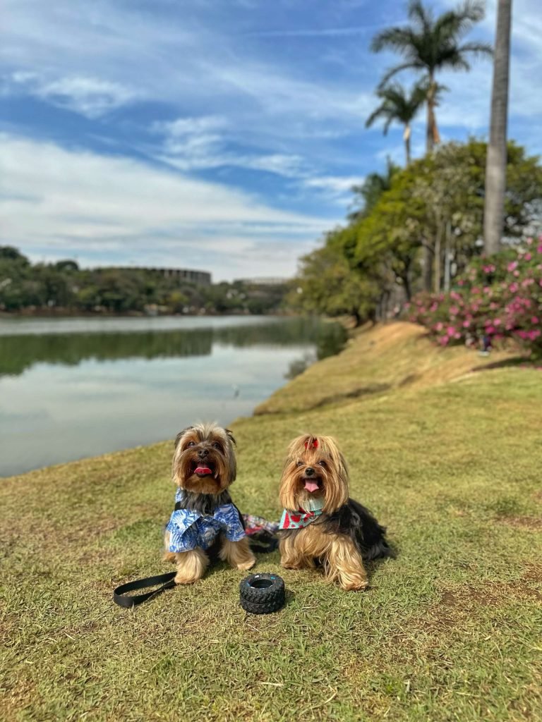 Lagoa da Pampulha